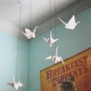 Meet your Posher, Alie